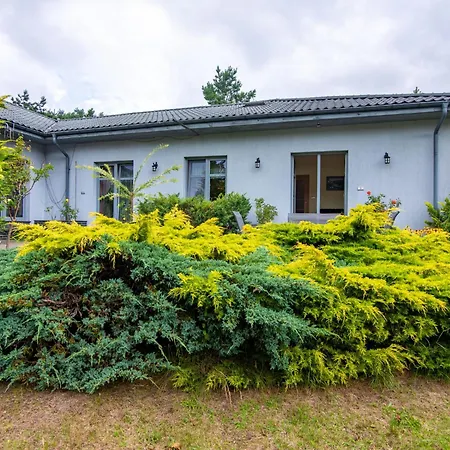 21 By Interhome Gleboczek